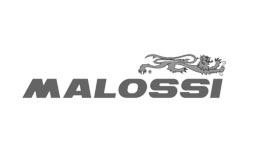 Malossi Malossi